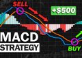 Top 5 chiến lược giao dịch sử dụng MACD