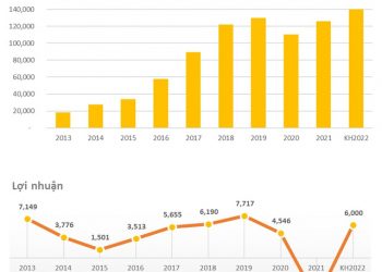 Tập đoàn Vingroup (VIC) đặt kế hoạch 2022 với doanh thu kỷ lục 140.000 tỷ đồng, lợi nhuận 6.000 tỷ đồng - Ảnh 1.