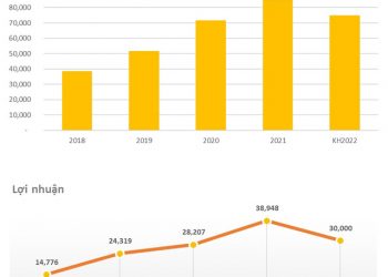 Vinhomes (VHM) đặt kế hoạch lợi nhuận 30.000 tỷ, bằng 77% năm 2021 - Ảnh 1.