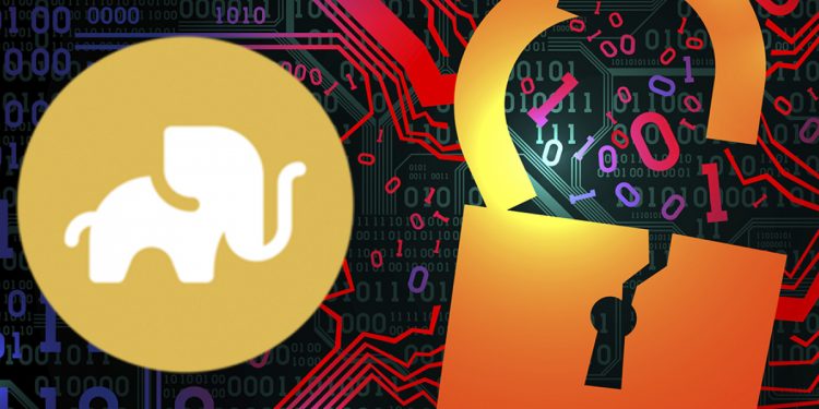 ViMoney: Elephant Money bị tấn công, thiệt hại 11,2 triệu USD h1