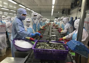 Xuất khẩu tăng kỷ lục, doanh nghiệp đối mặt nhiều nỗi lo - Ảnh 1.