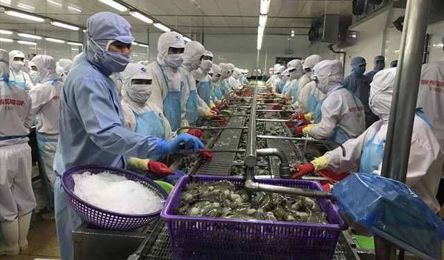 Xuất khẩu tăng kỷ lục, doanh nghiệp đối mặt nhiều nỗi lo - Ảnh 1.