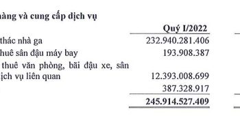 Thị giá gần 200.000 đồng, một công ty hàng không có tỷ suất lợi nhuận cao tốp đầu TTCK: thu 10 đồng lãi 8, lợi nhuận quý 1 tăng 36% lập kỷ lục mới - Ảnh 1.