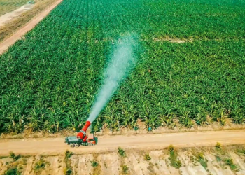 HAGL Agrico và kế hoạch doanh thu 2022