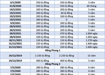 11.800 tỷ đồng trái phiếu chảy về hệ sinh thái Vietracimex - Ảnh 1.