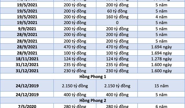 11.800 tỷ đồng trái phiếu chảy về hệ sinh thái Vietracimex - Ảnh 1.