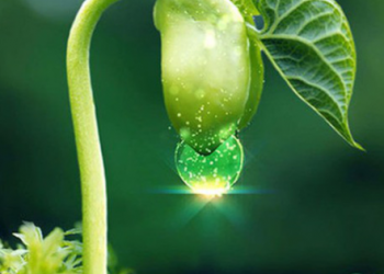 Điểm danh những doanh nghiệp chốt quyền nhận cổ tức bằng tiền, bằng cổ phiếu và cổ phiếu thưởng tuần từ 9/5 đến 13/5/2022