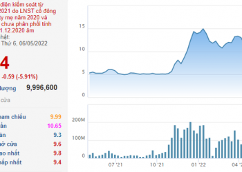 Ái nữ nhà bầu Đức vừa mua thêm 1 triệu cổ phiếu HAG khi thị giá đã giảm 33% sau 4 tháng - Ảnh 1.