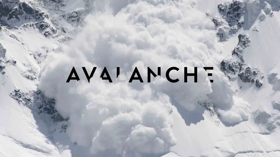 Người sáng lập Avalanche nói Terra cũng tệ như Gox h2