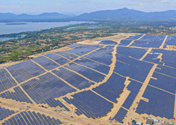 Bamboo Capital lấy ý kiến về phương án chào bán cổ phiếu cho cổ đông và đấu giá