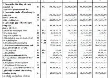 Bán tiếp cổ phiếu VSC, quý 1 Vận tải SAFI lãi 62 tỷ đồng cao gấp 3 lần cùng kỳ - Ảnh 1.