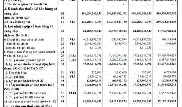 Bán tiếp cổ phiếu VSC, quý 1 Vận tải SAFI lãi 62 tỷ đồng cao gấp 3 lần cùng kỳ - Ảnh 1.