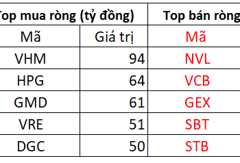 Bất chấp thị trường giảm sâu, khối ngoại tranh thủ mua ròng 625 tỷ đồng trong phiên đầu tuần - Ảnh 1.