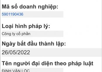 HAGL đã lập công ty riêng cho thương hiệu Heo ăn chuối BAPI: Bầu Đức đang tăng tốc hành trình cung cấp dòng heo sạch với doanh thu mục tiêu 10.000 tỷ - Ảnh 1.