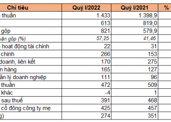 Becamex IDC có kế hoạch IPO VSIP và đưa liên doanh với Warburg Pincus lên sàn chứng khoán - Ảnh 1.