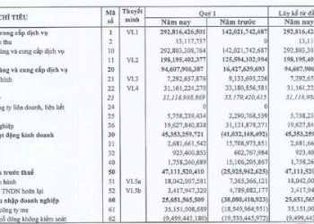CEO Group báo lãi quý 1/2022 đạt 26 tỷ đồng trong khi cùng kỳ kinh doanh thua lỗ - Ảnh 1.