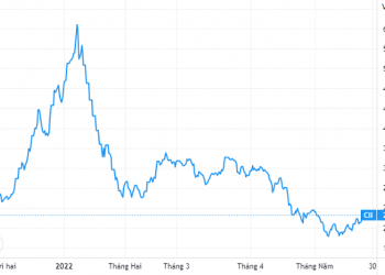 CII chuẩn bị chia cổ phiếu thưởng tỷ lệ 14% - Ảnh 1.