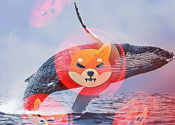 Cá voi mua 376 tỷ Shiba Inu khi SHIB quay lại Top 10 token được giao dịch nhiều nhất