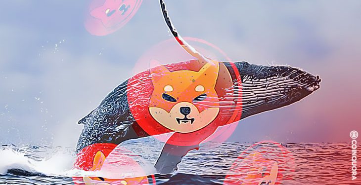 Cá voi mua 376 tỷ Shiba Inu khi SHIB quay lại Top 10 token được giao dịch nhiều nhất