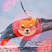 Cá voi mua 376 tỷ Shiba Inu khi SHIB quay lại Top 10 token được giao dịch nhiều nhất