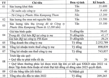 Cao su Phước Hoà (PHR) lên kế hoạch lãi 220 tỷ đồng trong quý 2 - Ảnh 1.