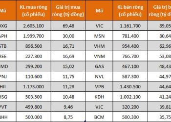 Chủ tịch Lương Trí Thìn hoàn tất mua 5 triệu cổ phiếu DXG - Ảnh 1.