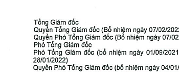 Chứng khoán Trí Việt bổ nhiệm Tổng Giám đốc thay ông Đỗ Đức Nam - Ảnh 1.