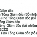 Chứng khoán Trí Việt bổ nhiệm Tổng Giám đốc thay ông Đỗ Đức Nam - Ảnh 1.