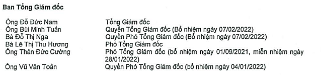 Chứng khoán Trí Việt bổ nhiệm Tổng Giám đốc thay ông Đỗ Đức Nam - Ảnh 1.