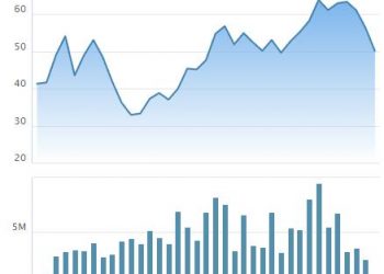 D2D chốt quyền chi trả cổ tức đợt 2/2021 bằng tiền tỷ lệ 35% - Ảnh 1.