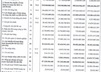 DIC Corp (DIG) lãi sau thuế 62 tỷ đồng trong quý I / 2022, vẫn kém xa kế hoạch lợi nhuận được giao cả năm. - Ảnh 1.