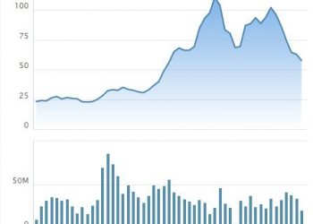 DIC Corp (DIG) thông qua triển khai phương án phát hành cổ phiếu trả cổ tức và thưởng cổ phiếu tổng tỷ lệ 22% - Ảnh 1.