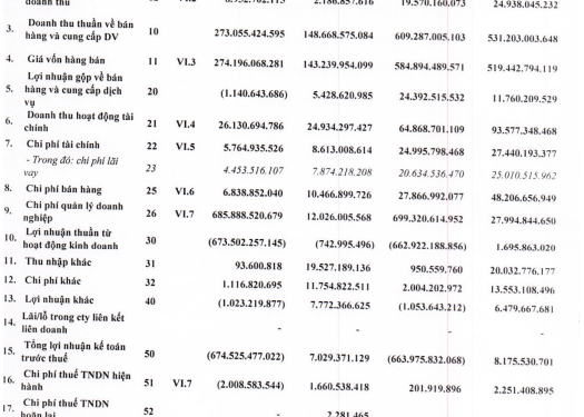 Sau rà soát, nông dược HAI lỗ hơn 670 tỷ đồng thay vì 1,5 tỷ đồng trong quý 4 năm 2021 - Ảnh 1.