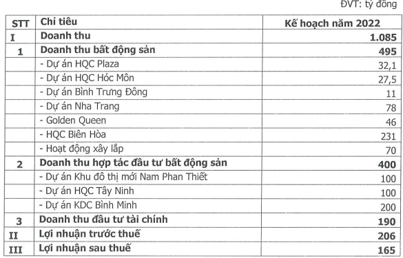 Địa ốc Hoàng Quân trình phương án chào bán riêng lẻ 100 triệu cổ phiếu giá 10.000 đồng/cp - Ảnh 1.
