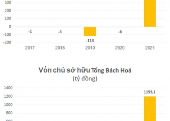 Đình chỉ tư cách kiểm toán viên ký báo cáo kiểm toán cho công ty liên quan đến Tân Hoàng Minh - Ảnh 1.