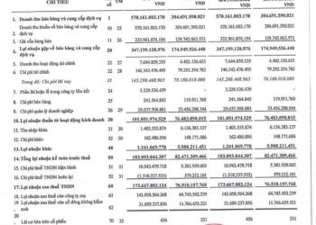Điện Gia Lai (GEG): Doanh thu tăng cao, lợi nhuận quý 1 tăng 127% so với cùng kỳ - Ảnh 1.