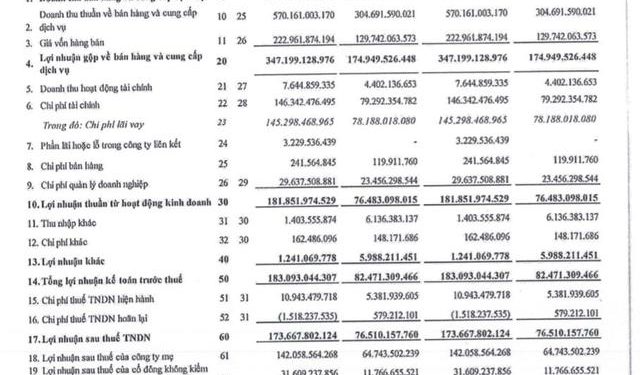 Điện Gia Lai (GEG): Doanh thu tăng cao, lợi nhuận quý 1 tăng 127% so với cùng kỳ - Ảnh 1.