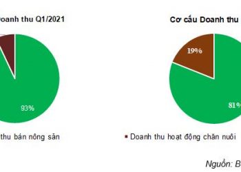 BAF - Doanh thu và lợi nhuận từ mảng chăn nuôi tăng trưởng ấn tượng - Ảnh 1.
