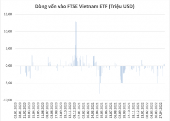 FTSE Vietnam ETF bất ngờ hút vốn trở lại sau 4 tháng rút ròng liên tiếp - Ảnh 1.
