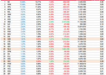 FTSE Vietnam ETF sẽ thêm mới SHB, NLG, VHC trong kỳ cơ cấu tháng 6? - Ảnh 1.
