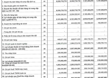 Gạch ngói Nhị Hiệp (NHC) báo lãi trước thuế Quý 1 tăng gấp 3 lần cùng kỳ 2021 - Ảnh 1.