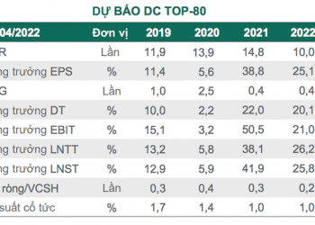 Dragon Capital: Giá cổ phiếu giảm kết hợp tăng trưởng lợi nhuận khiến định giá chứng khoán Việt Nam trở nên hấp dẫn, cơ hội thuộc về các nhà đầu tư dài hạn - Ảnh 1.
