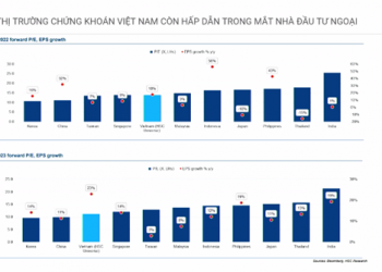 Giám đốc Tư vấn HSC chỉ đích danh hàng loạt cổ phiếu có cơ hội đầu tư lớn trong nửa cuối năm - Ảnh 1.