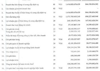 Gilimex (GIL) báo lãi quý 1/2022 tăng trưởng 51% - Ảnh 1.