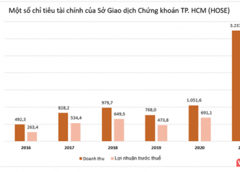 HOSE lãi kỷ lục 2.500 tỉ đồng trong năm 2021 - Ảnh 1.