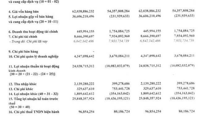 Hàng hải Đông Đô (DDM) ghi nhận quý thứ 3 liên tiếp kinh doanh có lãi - Ảnh 1.