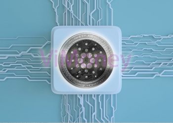 Hard fork là gì? Vasil hard fork của Cardano là gì?