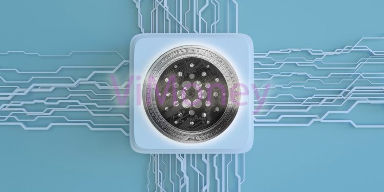 Hard fork là gì? Vasil hard fork của Cardano là gì?