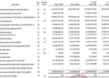 Khải Hoàn Land báo lợi nhuận quý 1/2022 cao gấp 7 lần cùng kỳ nhờ chuyển nhượng bất động sản - Ảnh 1.