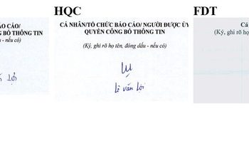 Khẩu vị penny của cổ đông lớn duy nhất tại ROS - Ảnh 1.